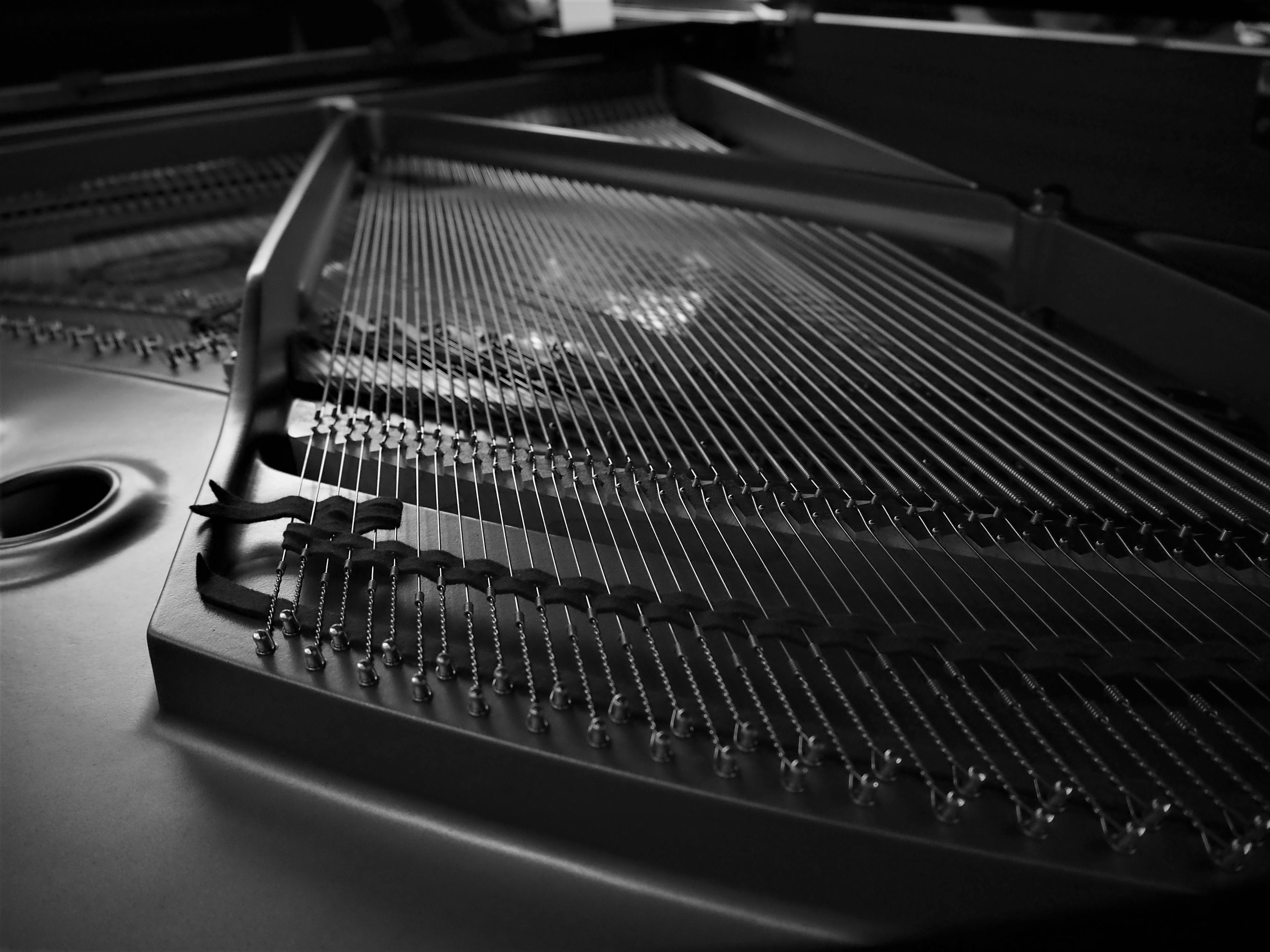 Professional piano tuning and maintenance services