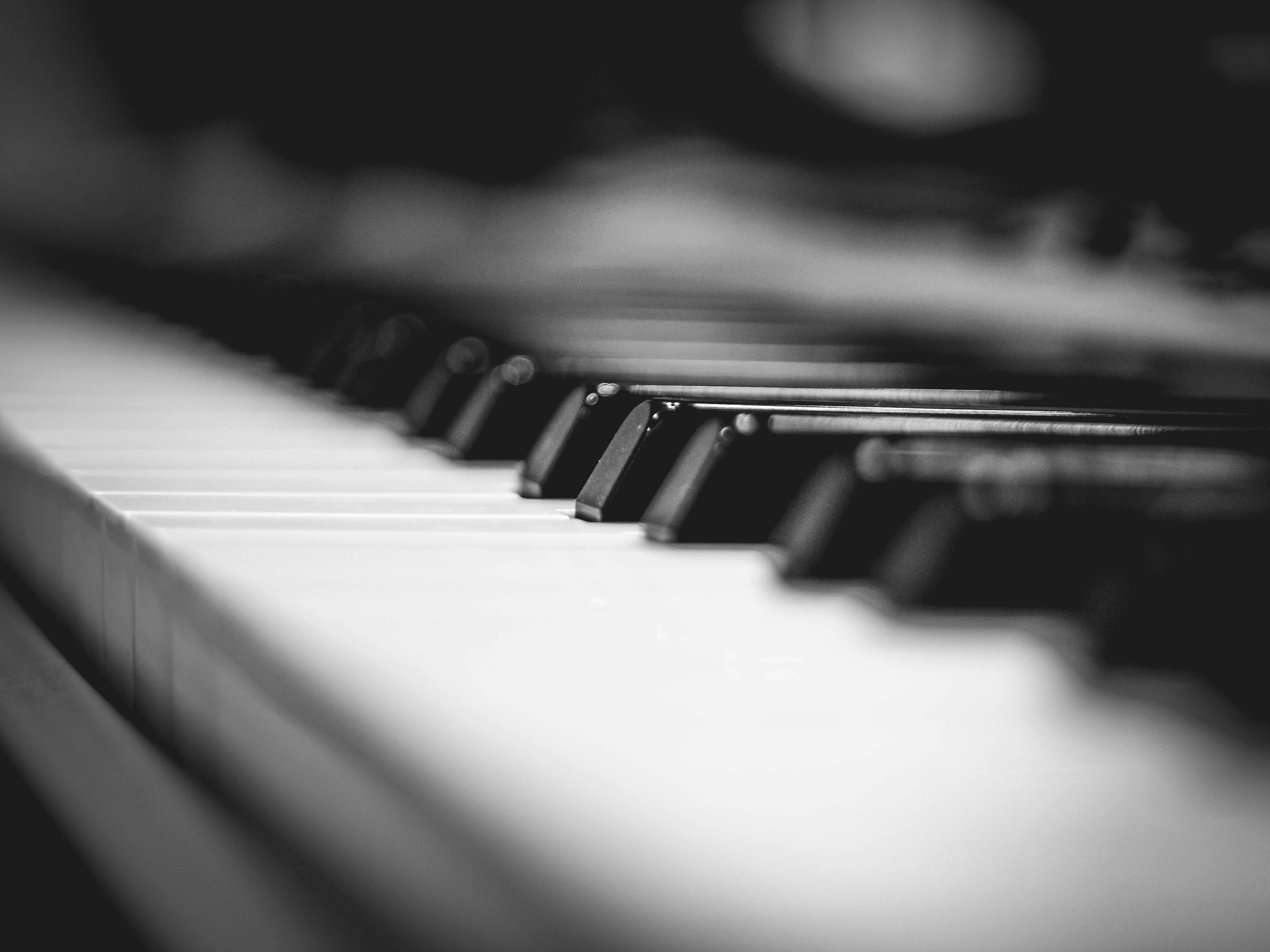 Professional piano service consultation